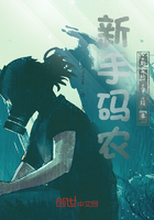 新手码农的码字日常