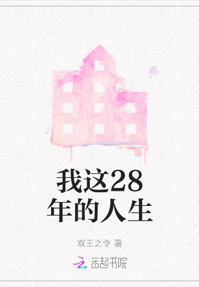 我这28年的人生在线阅读