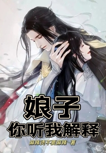 娘子,你听我解释! cover