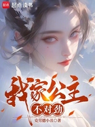 我家公主不对劲