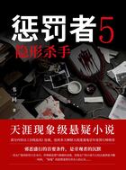 惩罚者5:隐形杀手在线阅读
