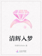 清辉入梦在线阅读