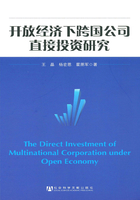 开放经济下跨国公司直接投资研究