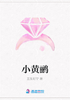 小黃鸝在線閱讀