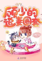 顾少的追妻圈套