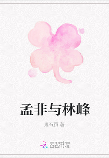 孟非與林峰