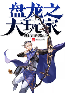 盘龙之大玩家