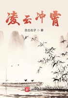 凌云冲霄在线阅读