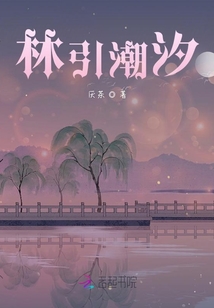 林引潮汐