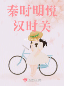 秦时明悦汉时关