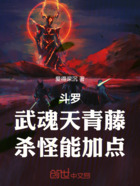 斗罗：武魂天青藤，杀怪能加点在线阅读