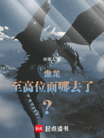 盘龙：规矩我来定，谁反对？在线阅读