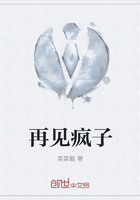 再见疯子在线阅读