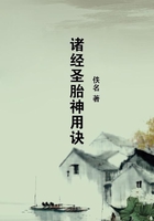 諸經圣胎神用訣在線閱讀