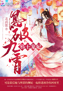 邪王寵妃，鳳破九霄