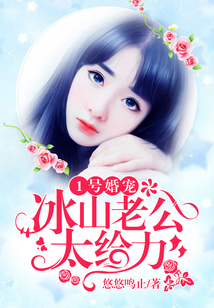 1号婚宠:冰山老公太给力