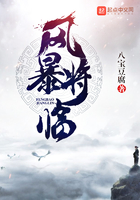 風暴將臨在線閱讀