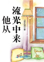他從流光中來在線閱讀