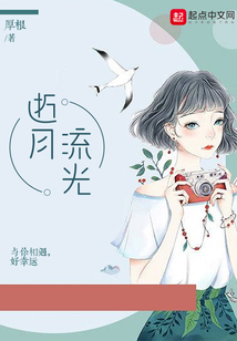 逝月流光