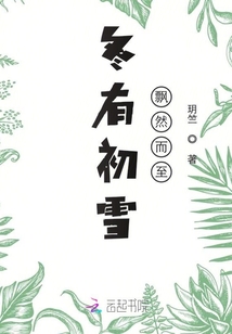 冬有初雪飘然而至