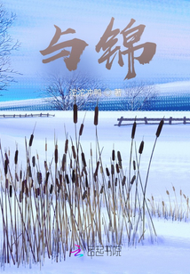 與錦