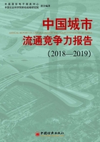 中国城市流通竞争力报告2018—2019在线阅读