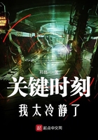 關(guān)鍵時(shí)刻我太冷靜了在線閱讀