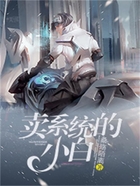 卖系统的小白在线阅读