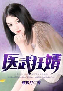醫武狂婿