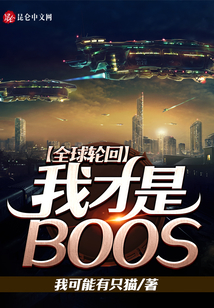全球輪回:我才是BOOS