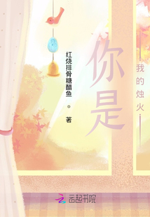 你是我的燭火