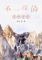 不一样的奇妙冒险在线阅读