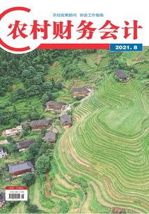農村財務會計（2021年第8期）