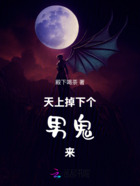 天上掉下个男鬼来在线阅读