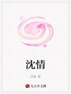 沈情在线阅读