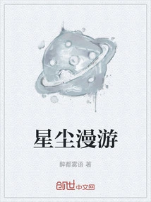 Stardust Odyssey