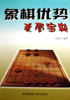 象棋优势杀局宝典