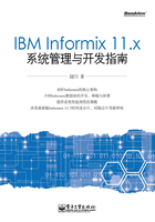 IBM Informix 11.x系统管理与开发指南