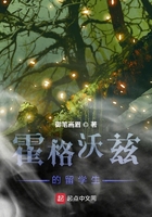 霍格沃兹的留学生