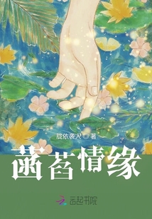 菡萏情緣