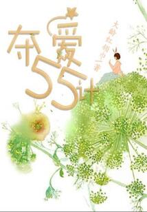 奪愛55計