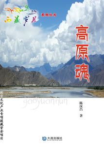 西藏歲月系列叢書·高原魂