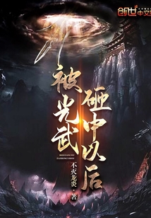 被光武砸中以后