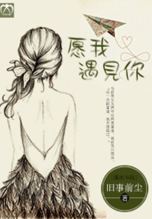愿我遇見你