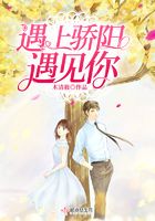 遇上驕陽遇見你在線閱讀