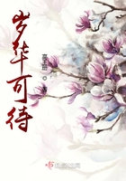 岁华可待