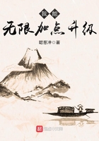我能无限加点升级