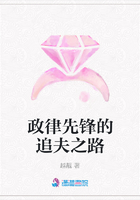 政律先鋒的追夫之路在線閱讀