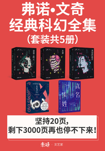 弗诺·文奇经典科幻全集（套装共5册）