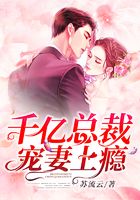 千亿总裁宠妻上瘾在线阅读